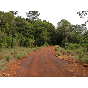 Picture New Caledonia Parc de la Riviere Bleue 2010-05 109 - Sight Parc de la Riviere Bleue