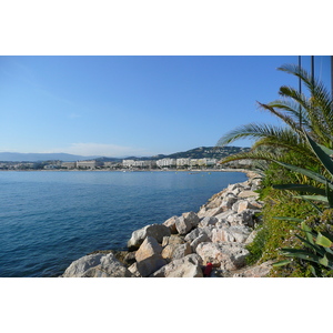 Picture France Cannes Port Pierre Canto 2008-05 74 - Flights Port Pierre Canto