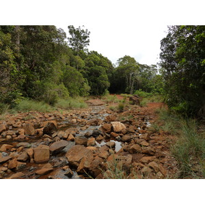 Picture New Caledonia Parc de la Riviere Bleue 2010-05 126 - Sight Parc de la Riviere Bleue