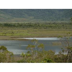 Picture New Caledonia Parc de la Riviere Bleue 2010-05 22 - Perspective Parc de la Riviere Bleue