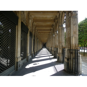 Picture France Paris Palais Royal 2007-08 140 - Perspective Palais Royal