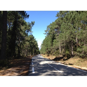 Picture France Corsica L'ospedale Forest 2012-09 45 - Trail L'ospedale Forest