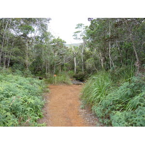 Picture New Caledonia Parc de la Riviere Bleue 2010-05 38 - Photo Parc de la Riviere Bleue