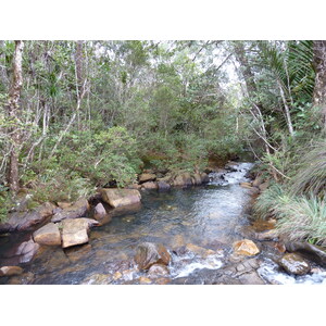 Picture New Caledonia Parc de la Riviere Bleue 2010-05 65 - Perspective Parc de la Riviere Bleue