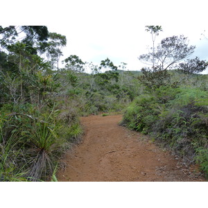 Picture New Caledonia Parc de la Riviere Bleue 2010-05 79 - Photo Parc de la Riviere Bleue