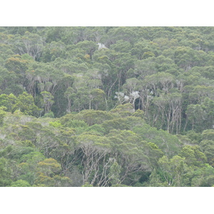 Picture New Caledonia Parc de la Riviere Bleue 2010-05 80 - Sightseeing Parc de la Riviere Bleue