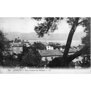 Picture France Corsica Old Postcards 1900-01 337 - Photos Old Postcards