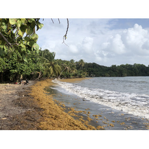 Picture Guadeloupe Viard Beach 2021-02 1 - Perspective Viard Beach