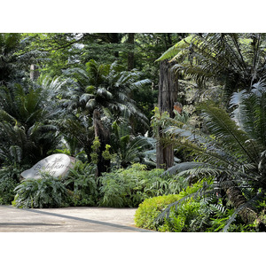 Picture Singapore Singapore Botanic Gardens 2023-01 55 - Photographers Singapore Botanic Gardens