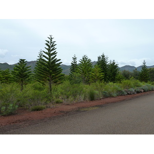 Picture New Caledonia Parc de la Riviere Bleue 2010-05 142 - Tourist Places Parc de la Riviere Bleue