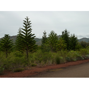 Picture New Caledonia Parc de la Riviere Bleue 2010-05 100 - Photos Parc de la Riviere Bleue