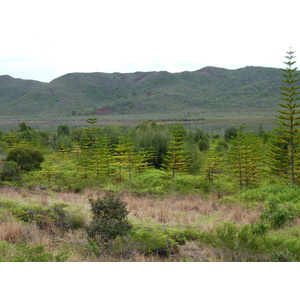 Picture New Caledonia Parc de la Riviere Bleue 2010-05 83 - Sight Parc de la Riviere Bleue