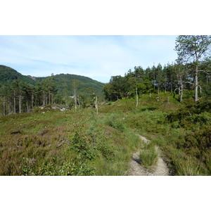 Picture United Kingdom The Trossachs 2011-07 93 - Photos The Trossachs