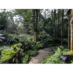 Picture Singapore Singapore Botanic Gardens 2023-01 75 - Photographers Singapore Botanic Gardens