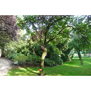 Picture France Paris Jardin des Plantes 2007-08 116 - Tourist Attraction Jardin des Plantes