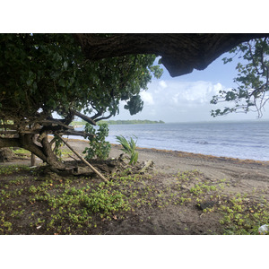 Picture Guadeloupe Viard Beach 2021-02 6 - Trail Viard Beach