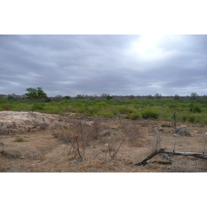 Picture South Africa Kruger National Park Sable River 2008-09 70 - Photos Sable River