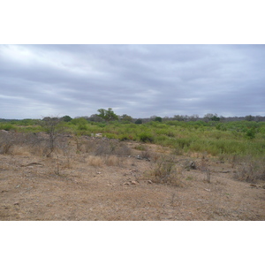 Picture South Africa Kruger National Park Sable River 2008-09 75 - Sight Sable River