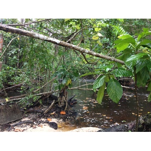 Picture Costa Rica Cahuita 2015-03 255 - Photographer Cahuita