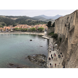 Picture France Collioure 2018-04 406 - Travel Collioure