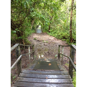 Picture Costa Rica Cahuita 2015-03 254 - Trail Cahuita