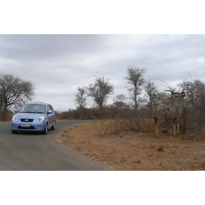 Picture South Africa Kruger National Park Sable River 2008-09 94 - Tourist Sable River