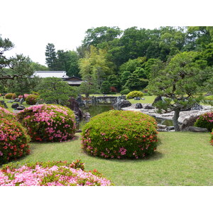 Picture Japan Kyoto Nijo Castle 2010-06 124 - Trip Nijo Castle