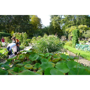 Picture France Paris Jardin des Plantes 2007-08 74 - Photos Jardin des Plantes