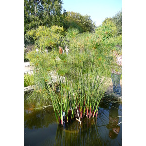 Picture France Paris Jardin des Plantes 2007-08 162 - Tourist Jardin des Plantes