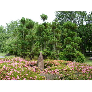 Picture Japan Kyoto Nijo Castle 2010-06 34 - Pictures Nijo Castle