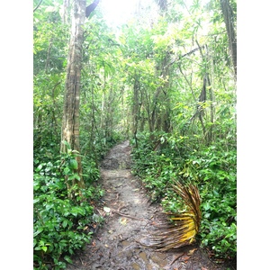 Picture Costa Rica Cahuita 2015-03 20 - Perspective Cahuita