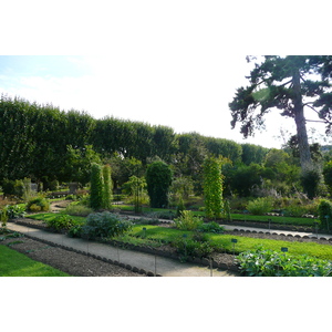 Picture France Paris Jardin des Plantes 2007-08 83 - Flight Jardin des Plantes