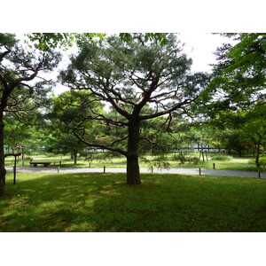 Picture Japan Kyoto Nijo Castle 2010-06 25 - Sightseeing Nijo Castle