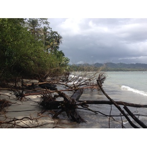 Picture Costa Rica Cahuita 2015-03 243 - Tourist Attraction Cahuita