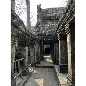 Picture Cambodia Siem Reap Ta Prohm 2023-01 136 - Picture Ta Prohm