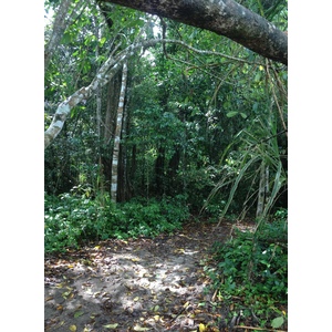 Picture Costa Rica Cahuita 2015-03 55 - Perspective Cahuita