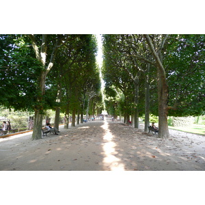 Picture France Paris Jardin des Plantes 2007-08 158 - Perspective Jardin des Plantes