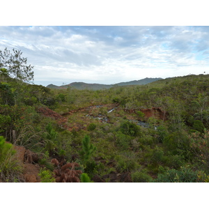 Picture New Caledonia Parc de la Riviere Bleue 2010-05 133 - Pictures Parc de la Riviere Bleue