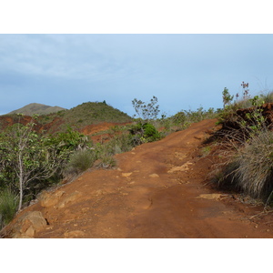 Picture New Caledonia Parc de la Riviere Bleue 2010-05 117 - Travels Parc de la Riviere Bleue