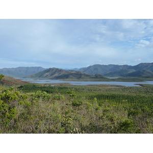 Picture New Caledonia Parc de la Riviere Bleue 2010-05 30 - Photos Parc de la Riviere Bleue