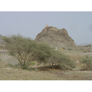 Picture Sultanate of Oman Buraimi to Sohar road 2005-03 15 - Perspective Buraimi to Sohar road