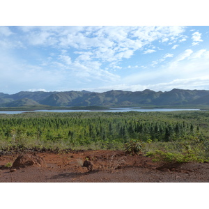 Picture New Caledonia Parc de la Riviere Bleue 2010-05 118 - Randonee Parc de la Riviere Bleue