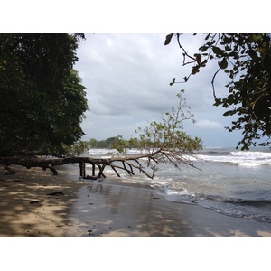 Picture Costa Rica Cahuita 2015-03 116 - Photographers Cahuita