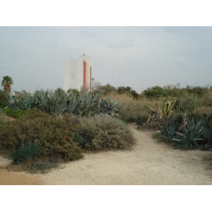 Picture Israel Tel Aviv Tel Aviv Sea Shore 2006-12 286 - Sightseeing Tel Aviv Sea Shore