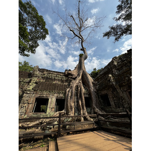 Picture Cambodia Siem Reap Ta Prohm 2023-01 47 - Sight Ta Prohm