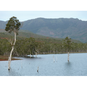 Picture New Caledonia Parc de la Riviere Bleue 2010-05 26 - Photos Parc de la Riviere Bleue