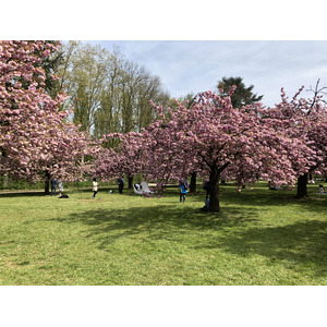 Picture France Parc de Sceaux 2019-04 10 - Picture Parc de Sceaux