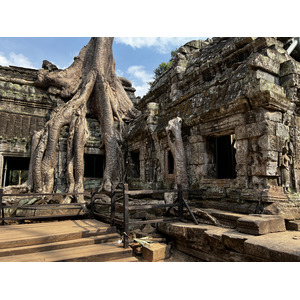 Picture Cambodia Siem Reap Ta Prohm 2023-01 72 - Flights Ta Prohm