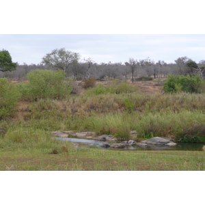 Picture South Africa Kruger National Park Sable River 2008-09 26 - Photos Sable River