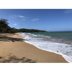 Picture Guadeloupe Sainte Rose 2021-02 8 - Visit Sainte Rose